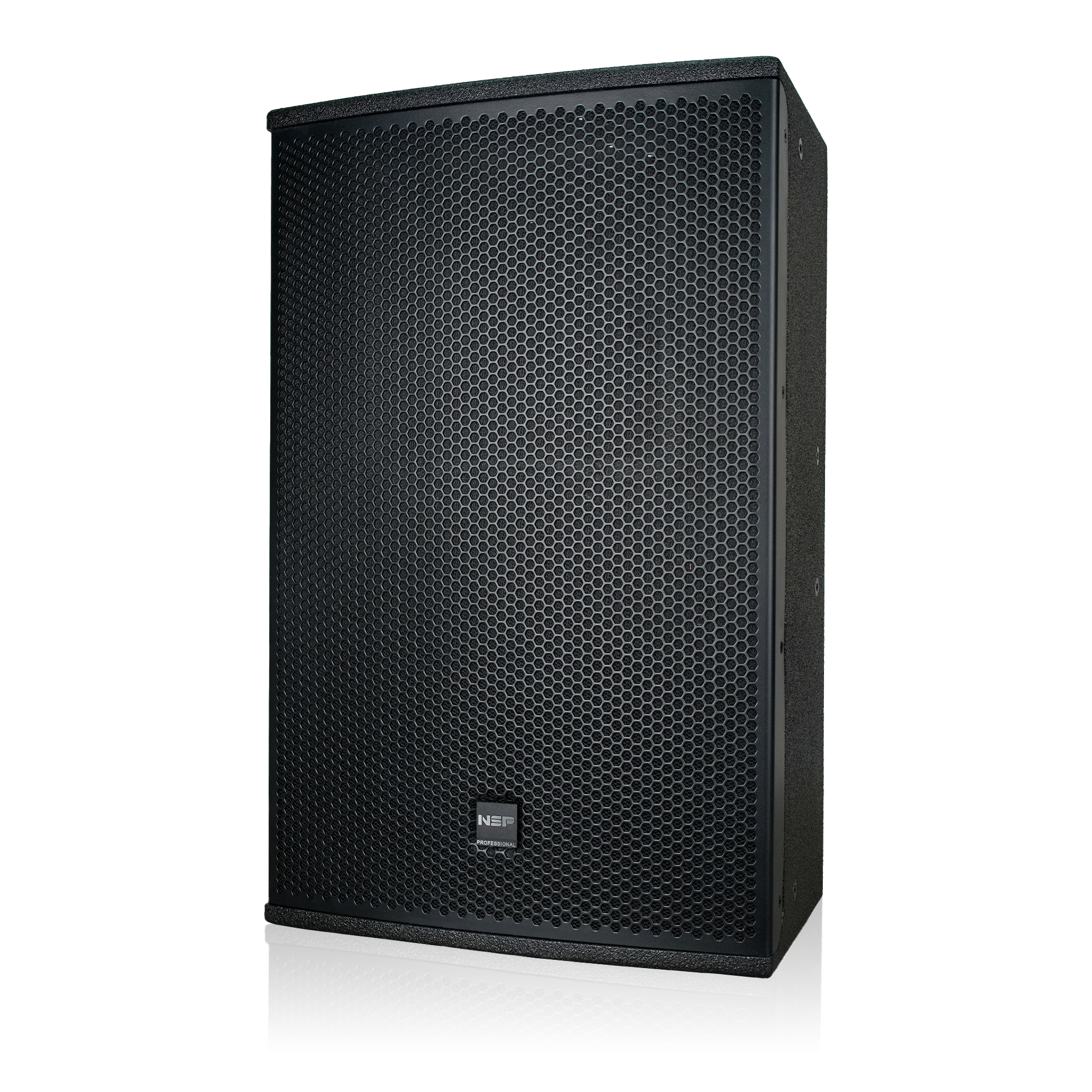 Loa Fullrange NSP Audio HS12