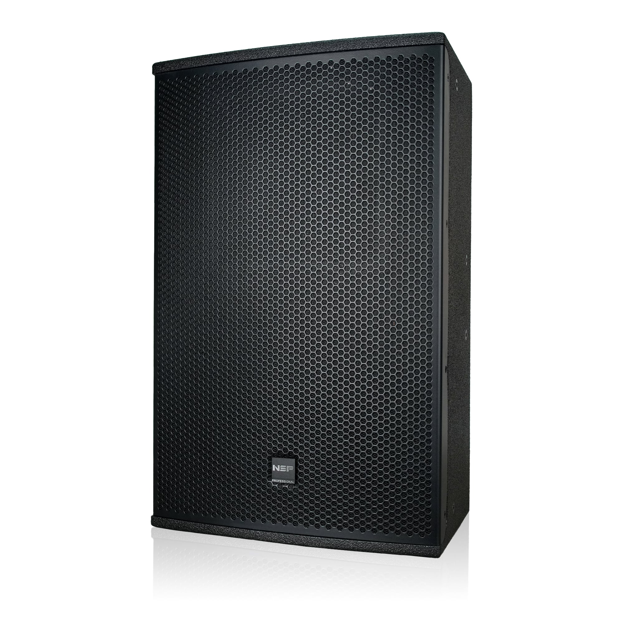 Loa Fullrange NSP Audio HS12