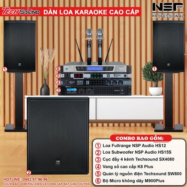 Dàn Loa Karaoke NSP Audio HS12