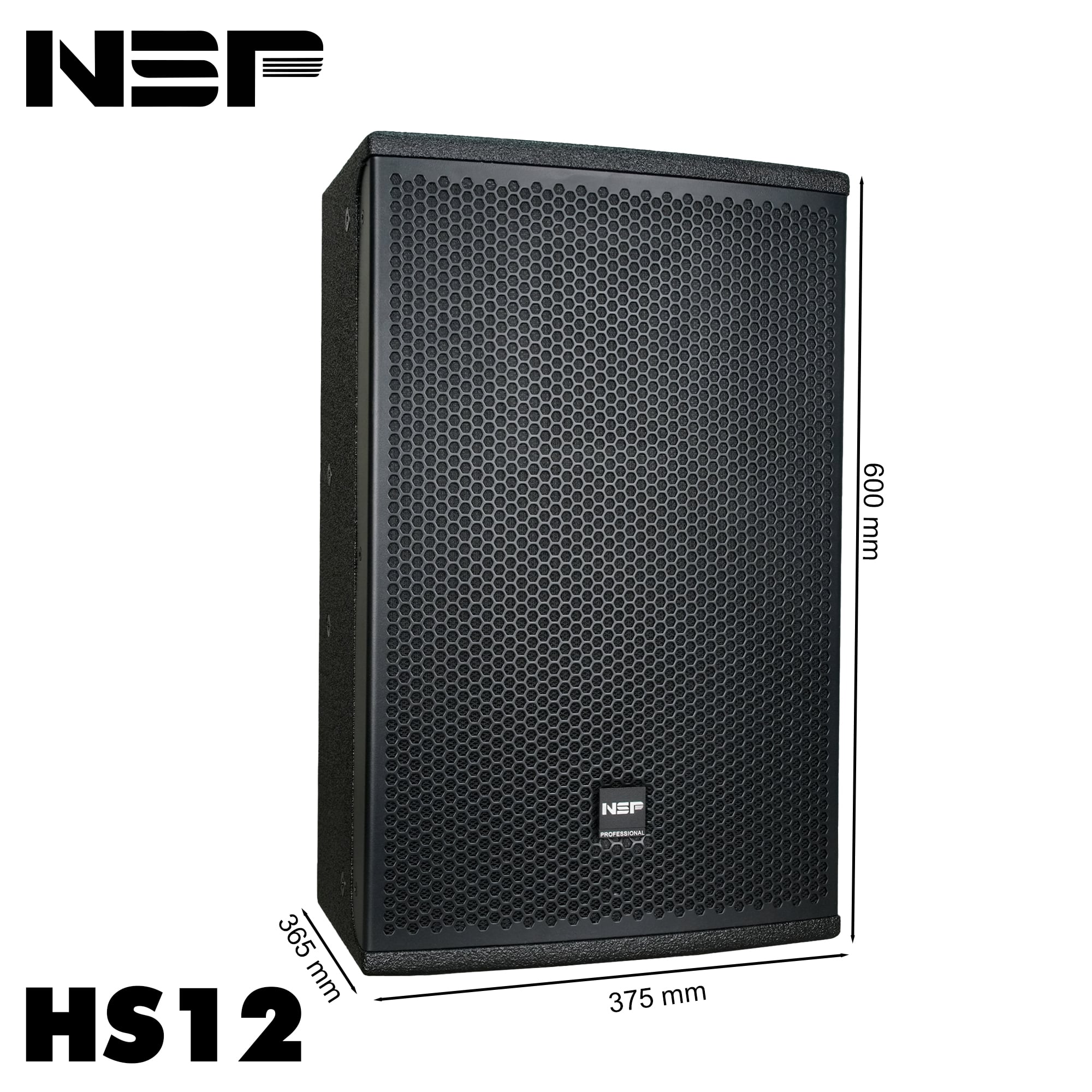 Loa Fullrange NSP Audio HS12