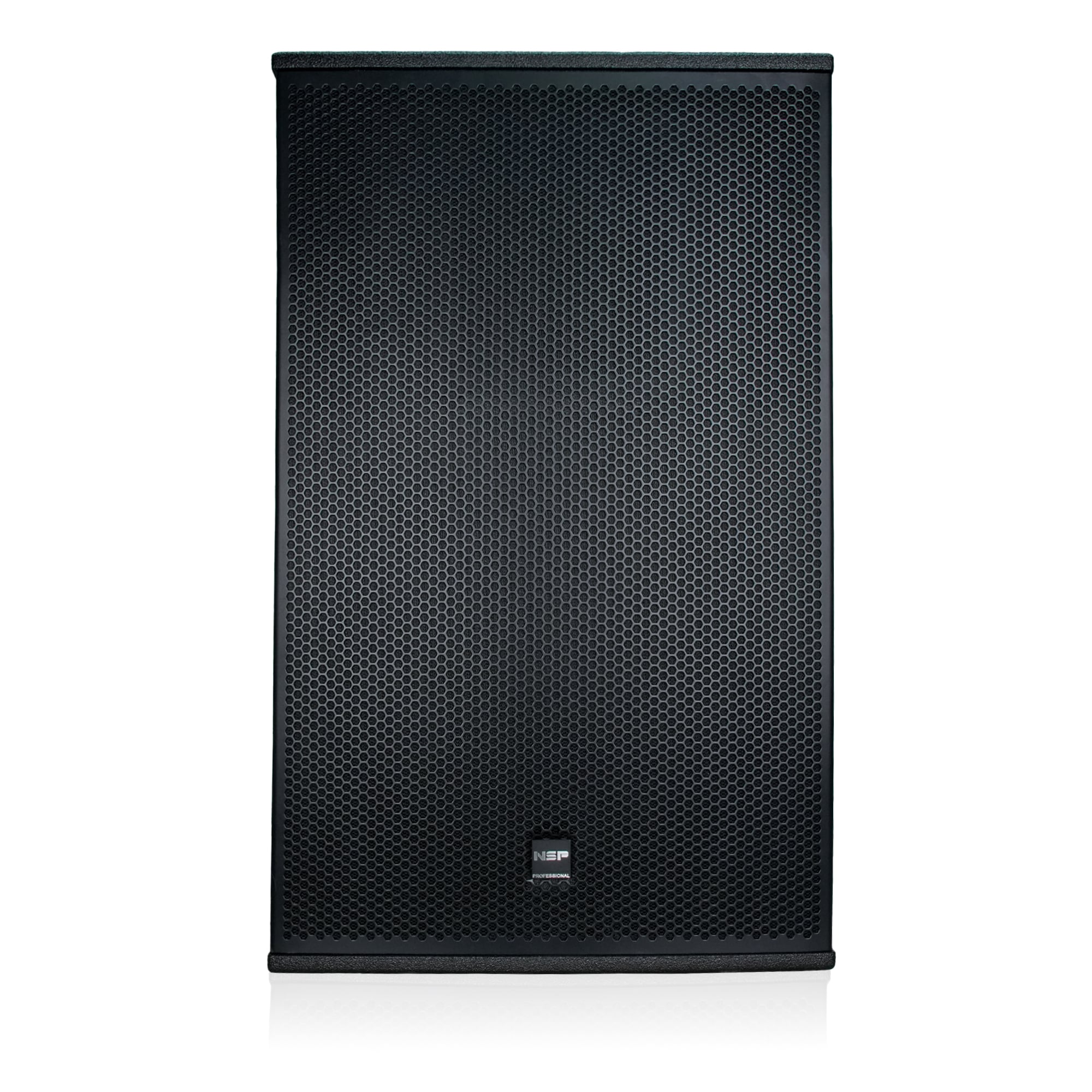 Loa Fullrange NSP Audio HS15