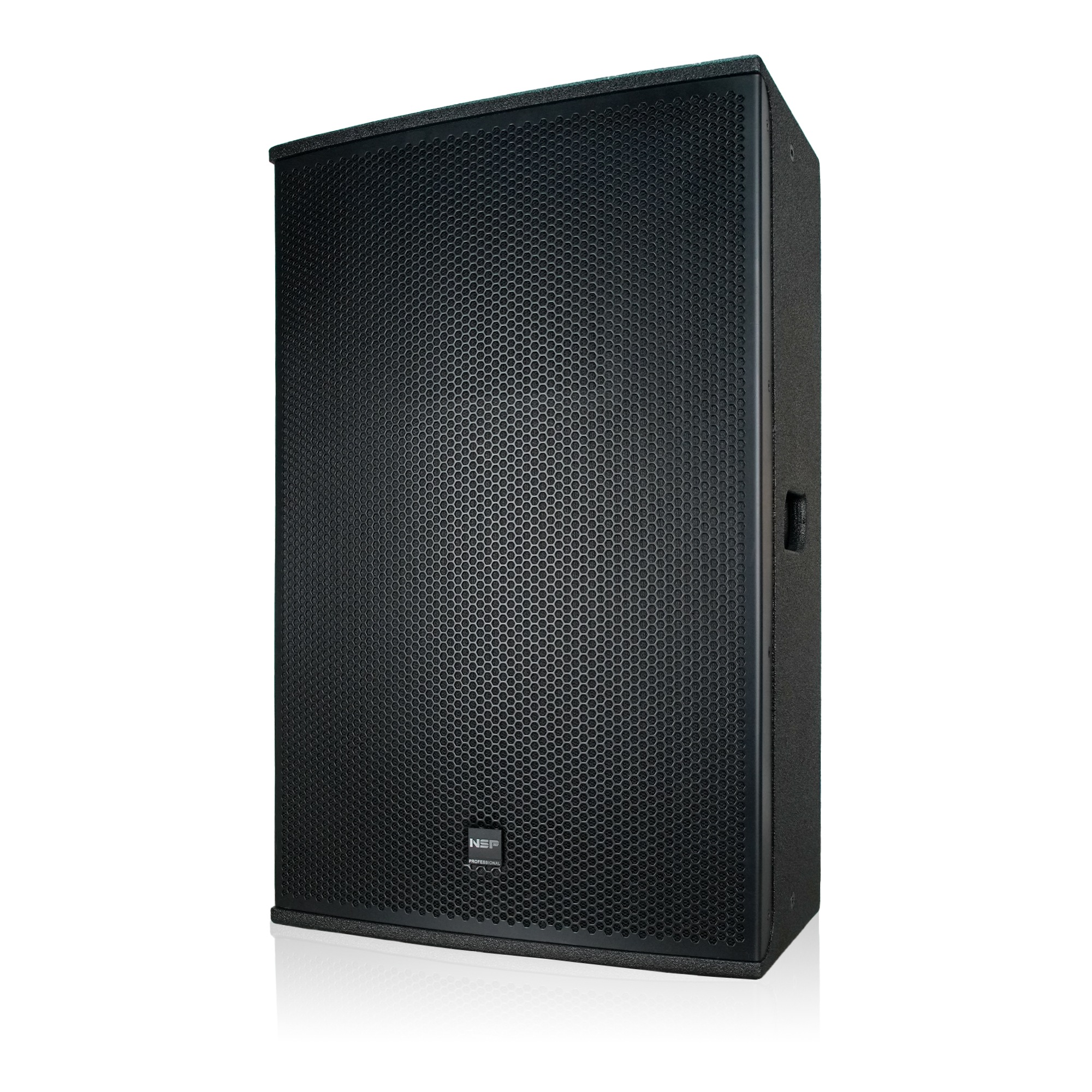 Loa Fullrange NSP Audio HS15