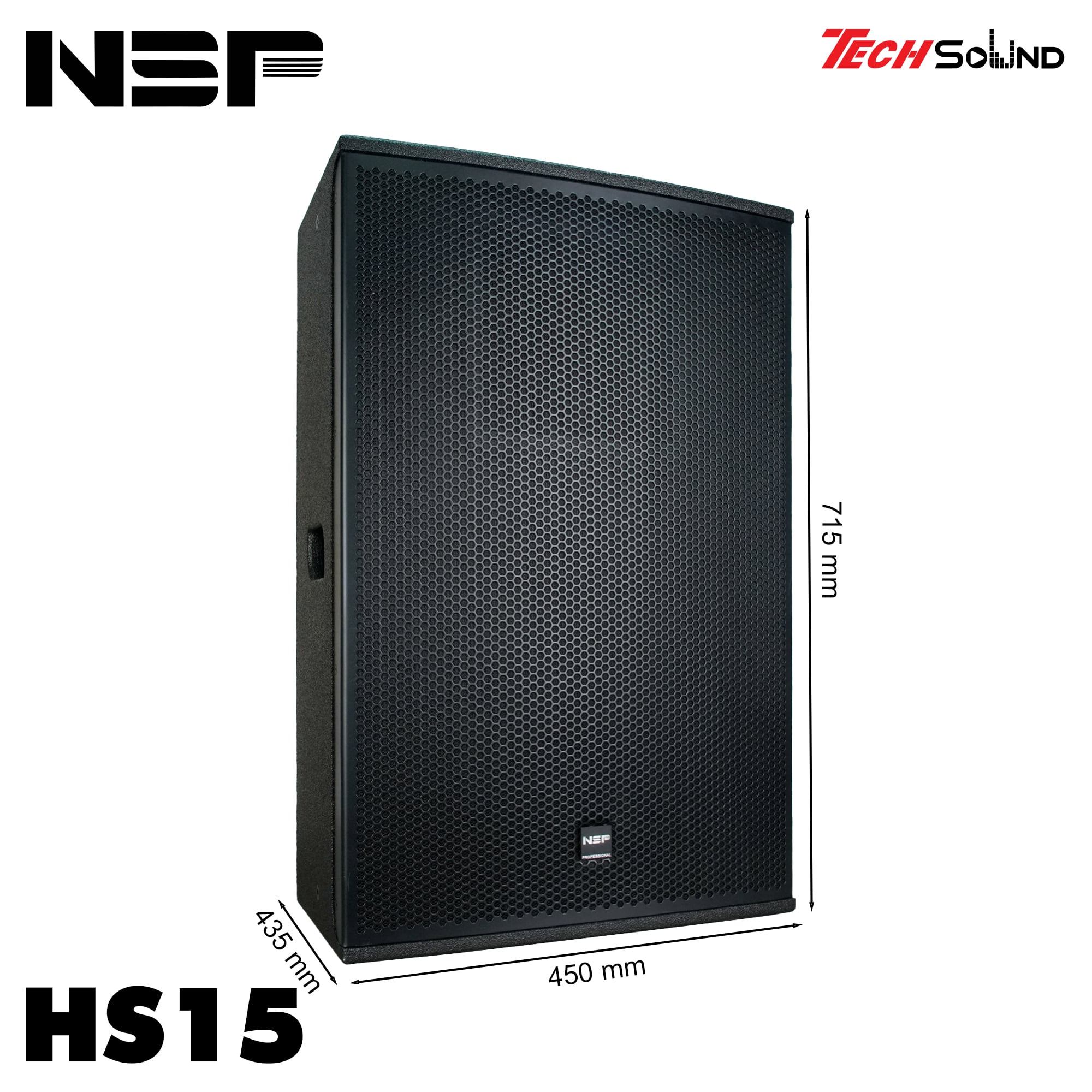 Loa Fullrange NSP Audio HS15