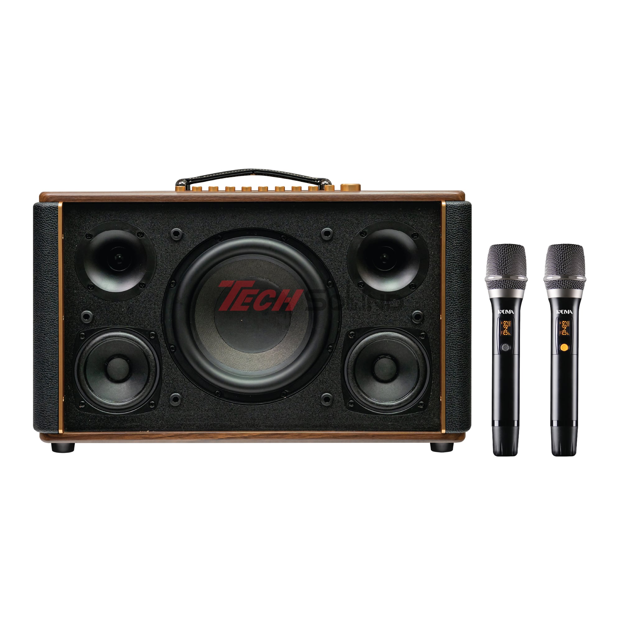 Loa Hi-Fi Karaoke xách tay KADMA KS300 (Đen)