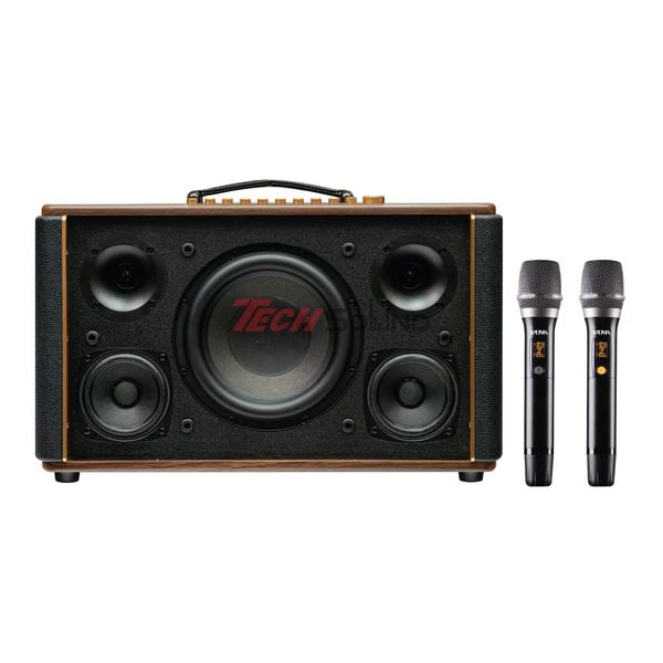Loa Hi-Fi Karaoke xách tay KADMA KS300 (Đen)