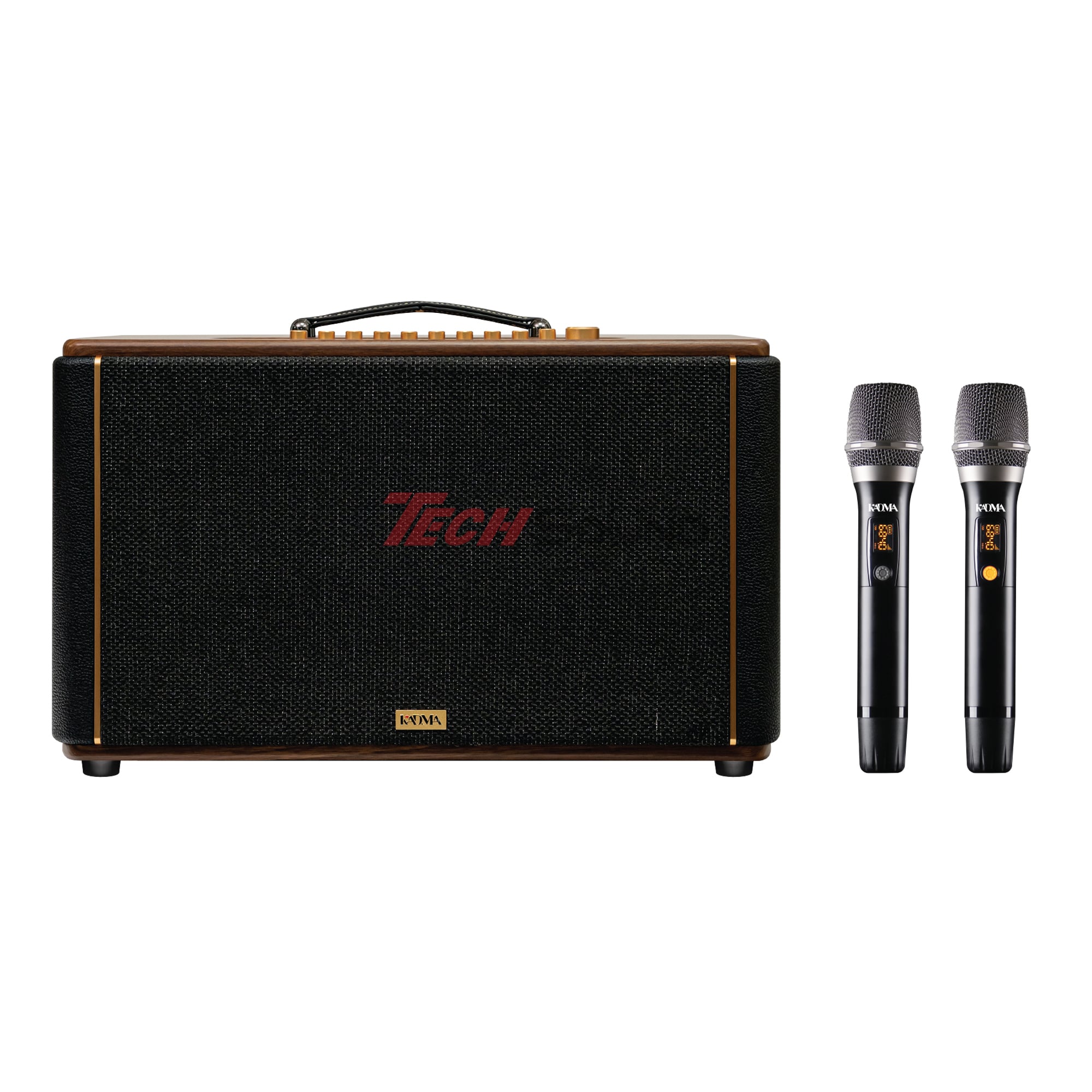 Loa Hi-Fi Karaoke xách tay KADMA KS300 (Đen)