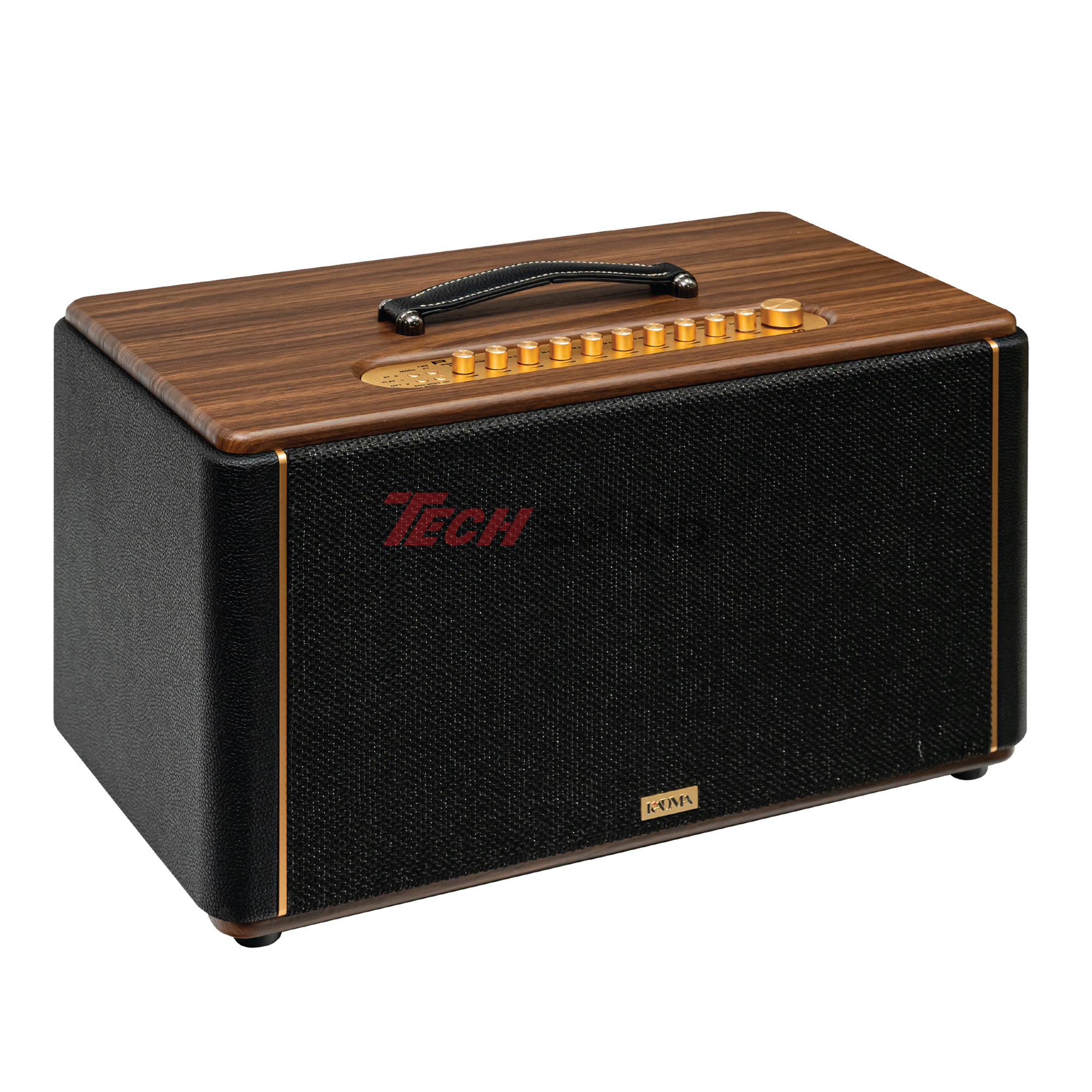 Loa Hi-Fi Karaoke xách tay KADMA KS300 (Đen)