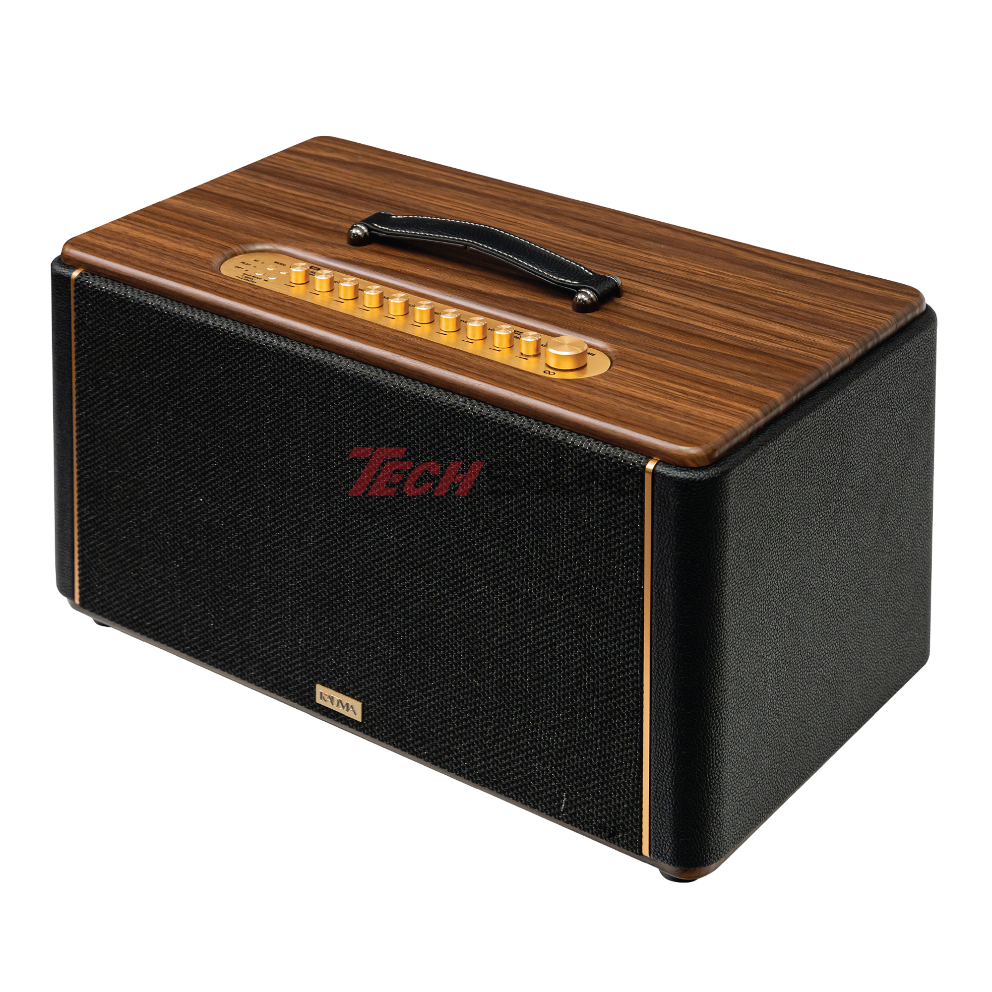 Loa Hi-Fi Karaoke xách tay KADMA KS300 (Đen)