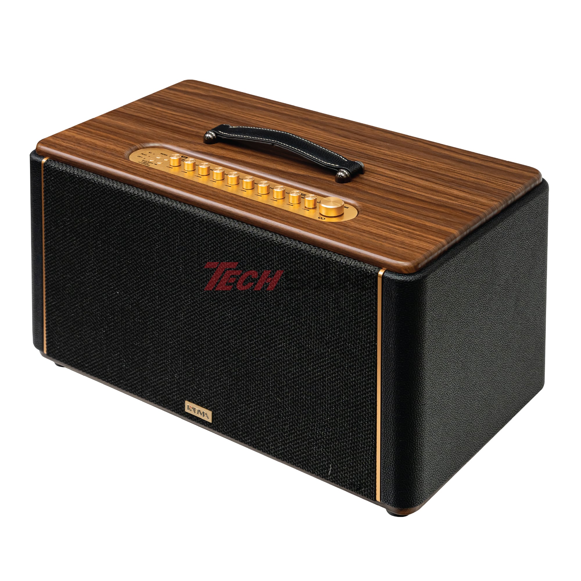 Loa Hi-Fi Karaoke xách tay KADMA KS300 (Đen)