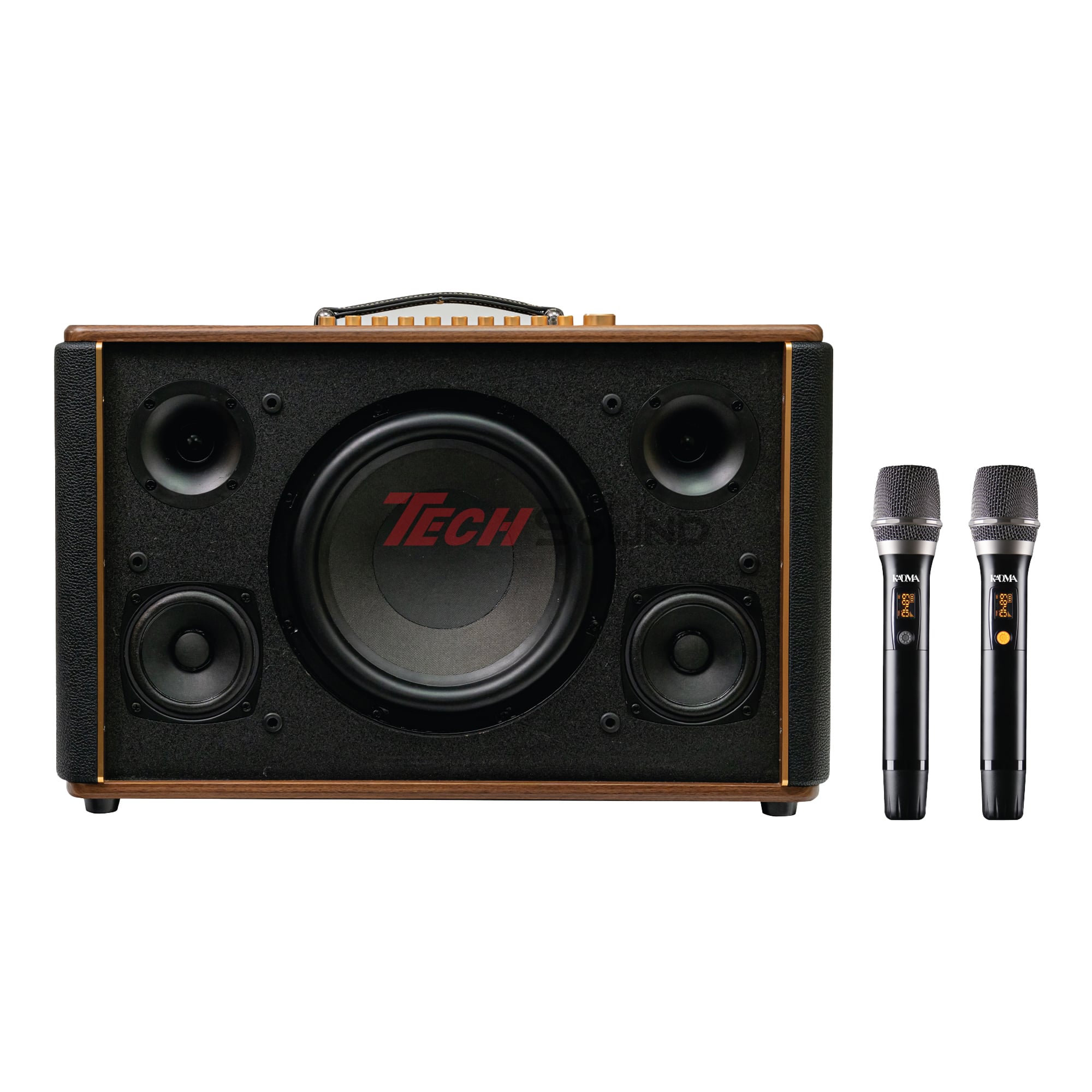 Loa Hi-Fi Karaoke xách tay KADMA KS350 (Đen)