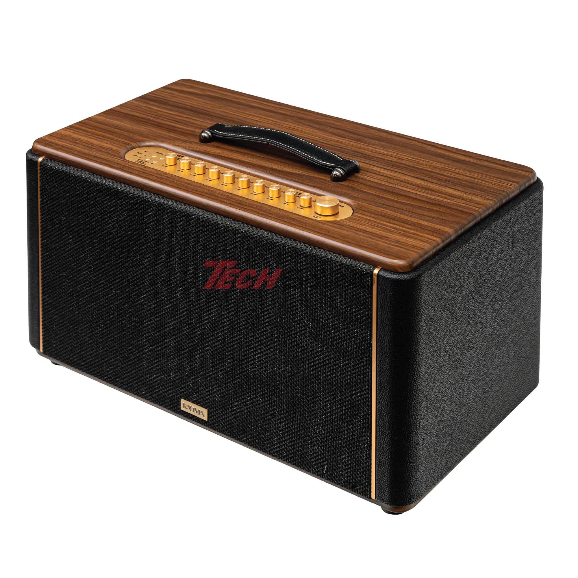 Loa Hi-Fi Karaoke xách tay KADMA KS350 (Đen)