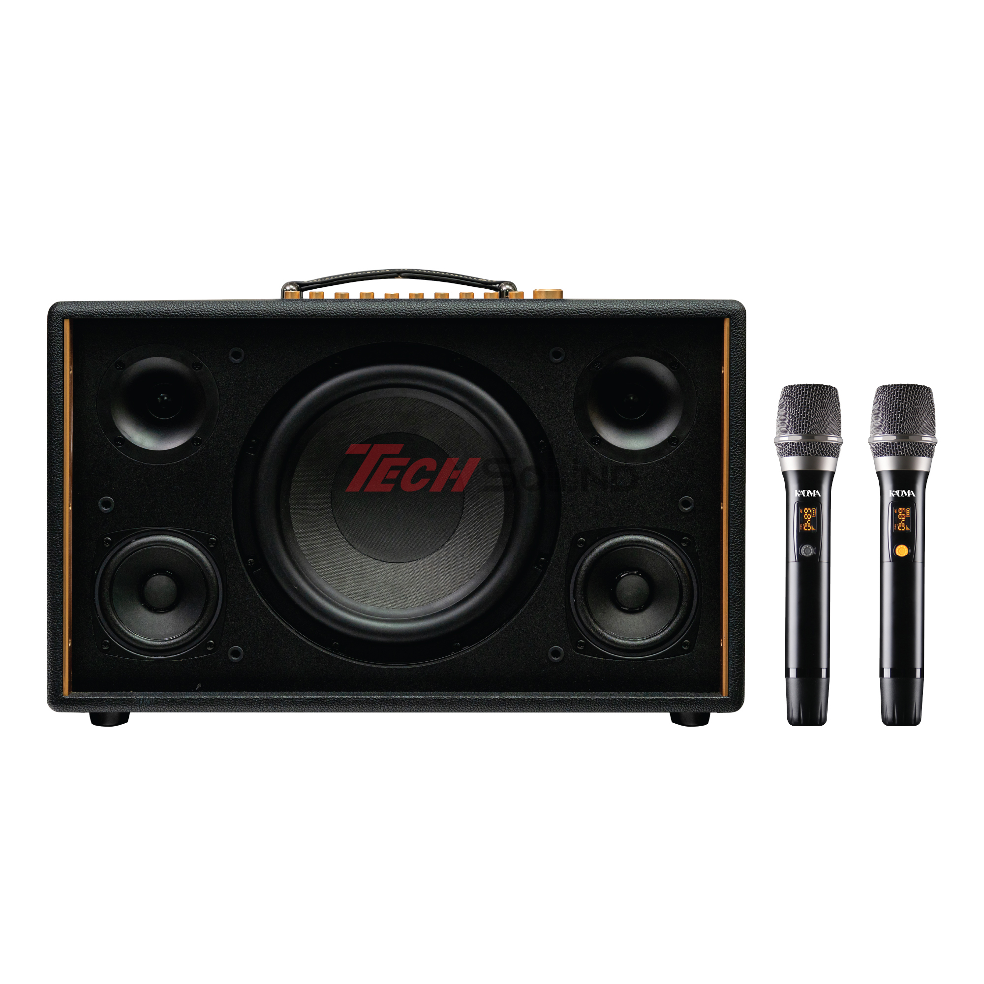 Loa Hi-Fi Karaoke xách tay KADMA KS88 (Đen)