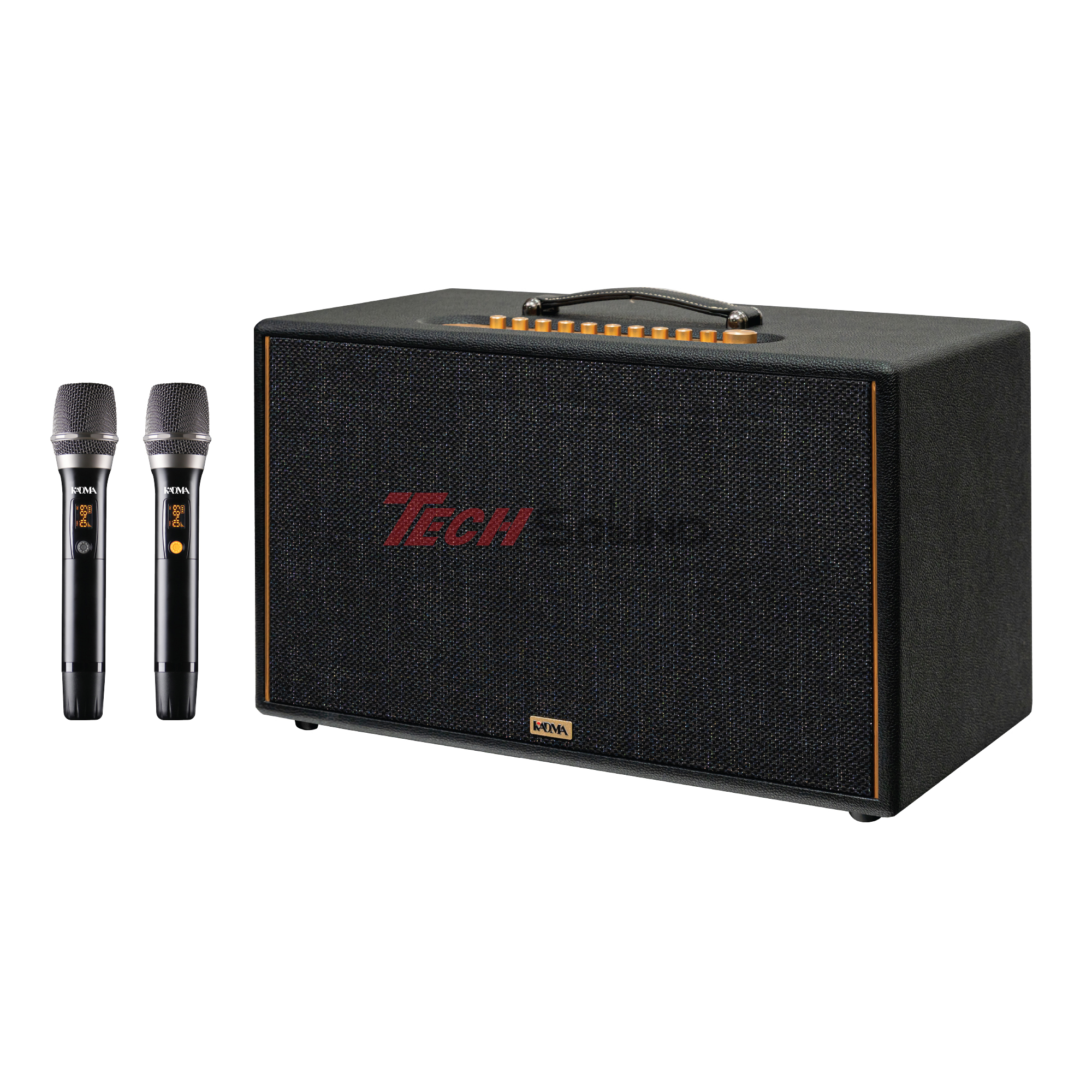 Loa Hi-Fi Karaoke xách tay KADMA KS88 (Đen)