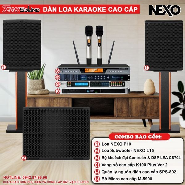 DÀN LOA KARAOKE NEXO P10 [01]