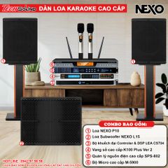 DÀN LOA KARAOKE NEXO P10 [01]