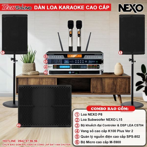 DÀN LOA KARAOKE NEXO P8 [01]