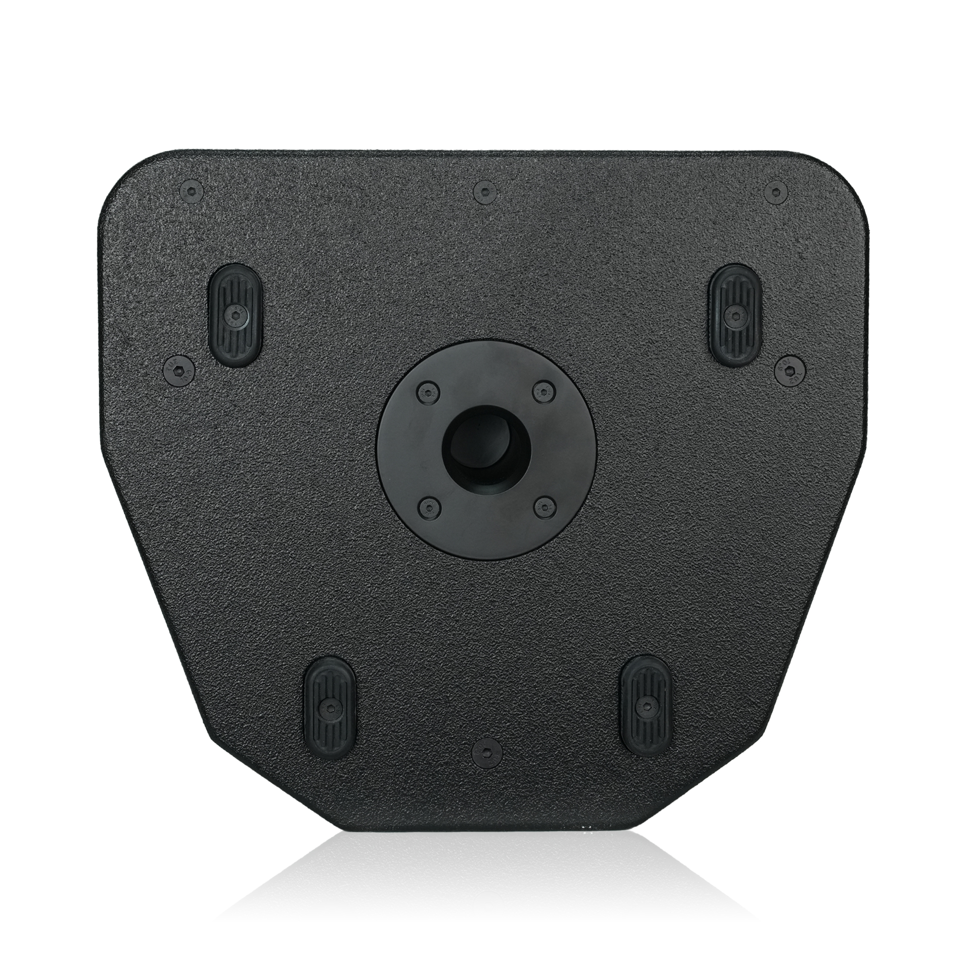 Loa 4Acoustic PCS V12