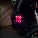 Đèn Baja Designs Squadron 2.0 Pro màu đen