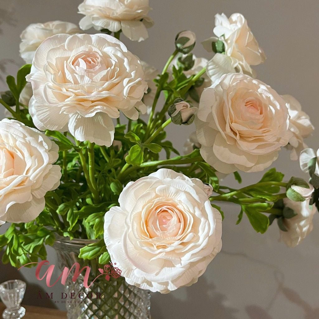 BÌNH HOA A MUSE RANUNCULUS.