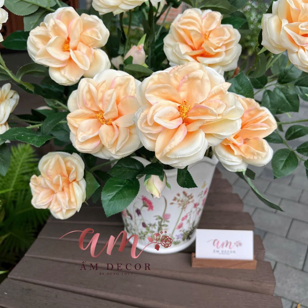 BÌNH HOA FRANCE SUNNY ROSE