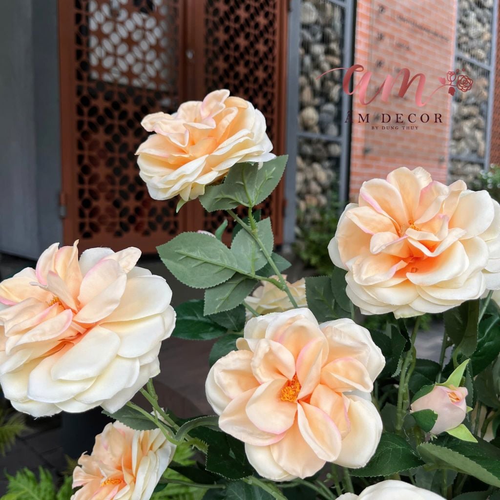 BÌNH HOA FRANCE SUNNY ROSE