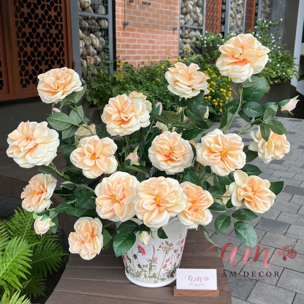 BÌNH HOA FRANCE SUNNY ROSE