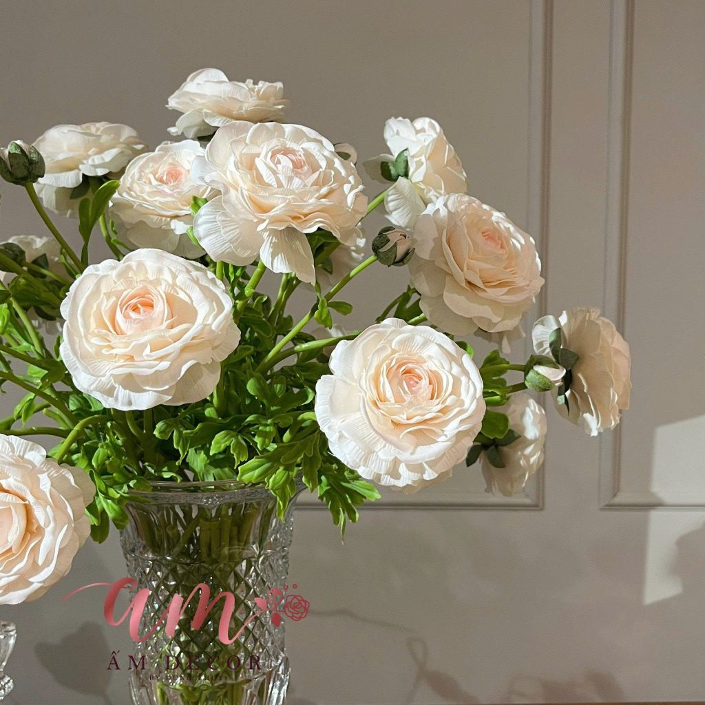 BÌNH HOA A MUSE RANUNCULUS.