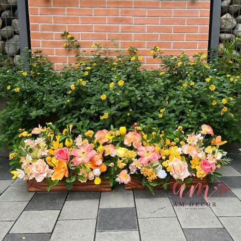  BÌNH HOA HOUR GOLDEN GARDEN 