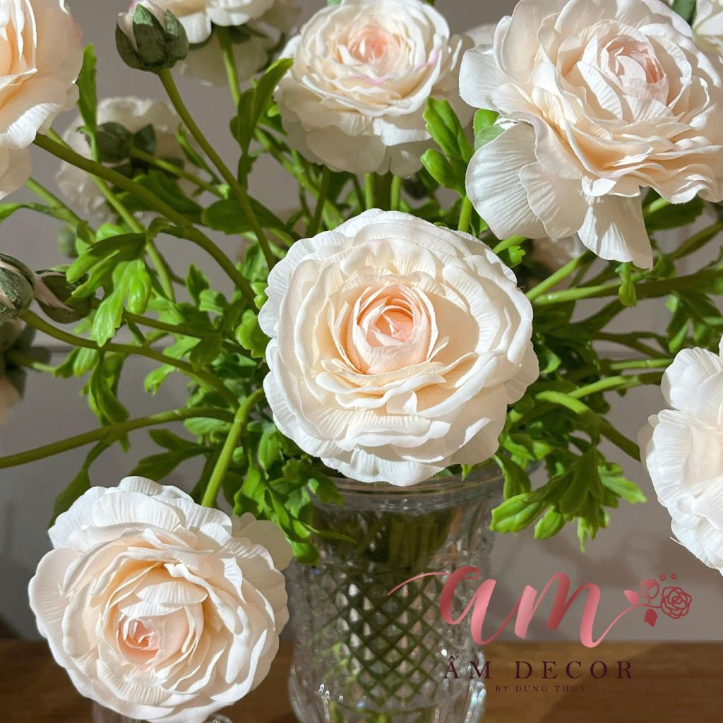 BÌNH HOA A MUSE RANUNCULUS.