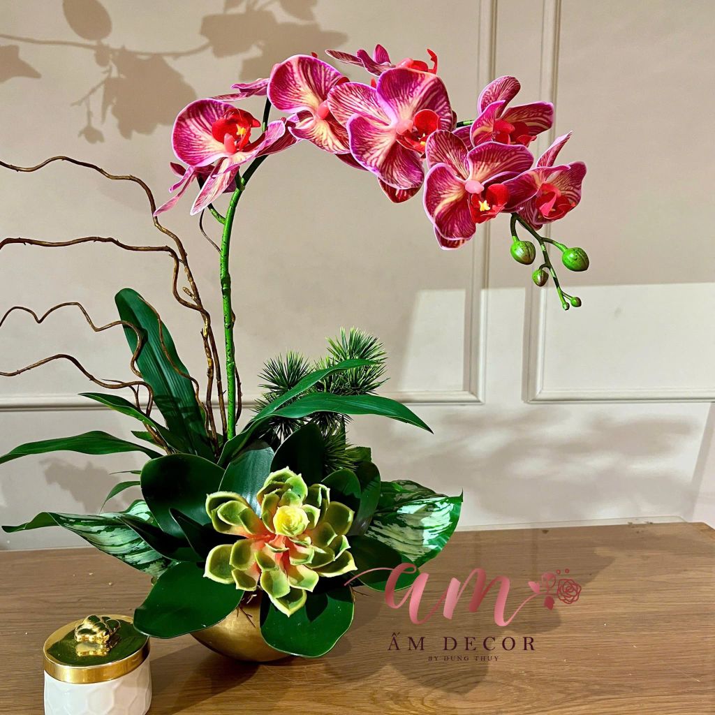 BÌNH HOA BASTIENNE ORCHID CHERIE