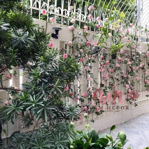  HOA TRANG TRÍ KHU VƯỜN LA ROSERAIE FRANÇAISE 