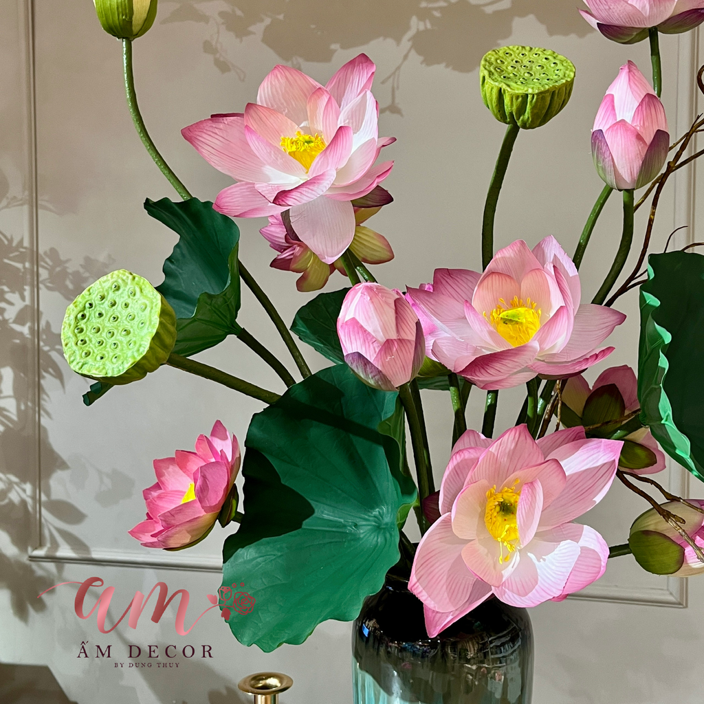 BÌNH HOA TRADITION LOTUS