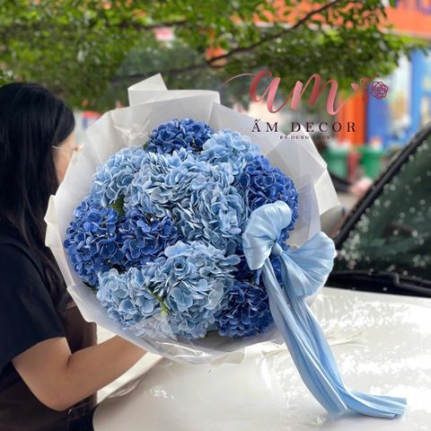  A OCEAN HYDRANGEA 