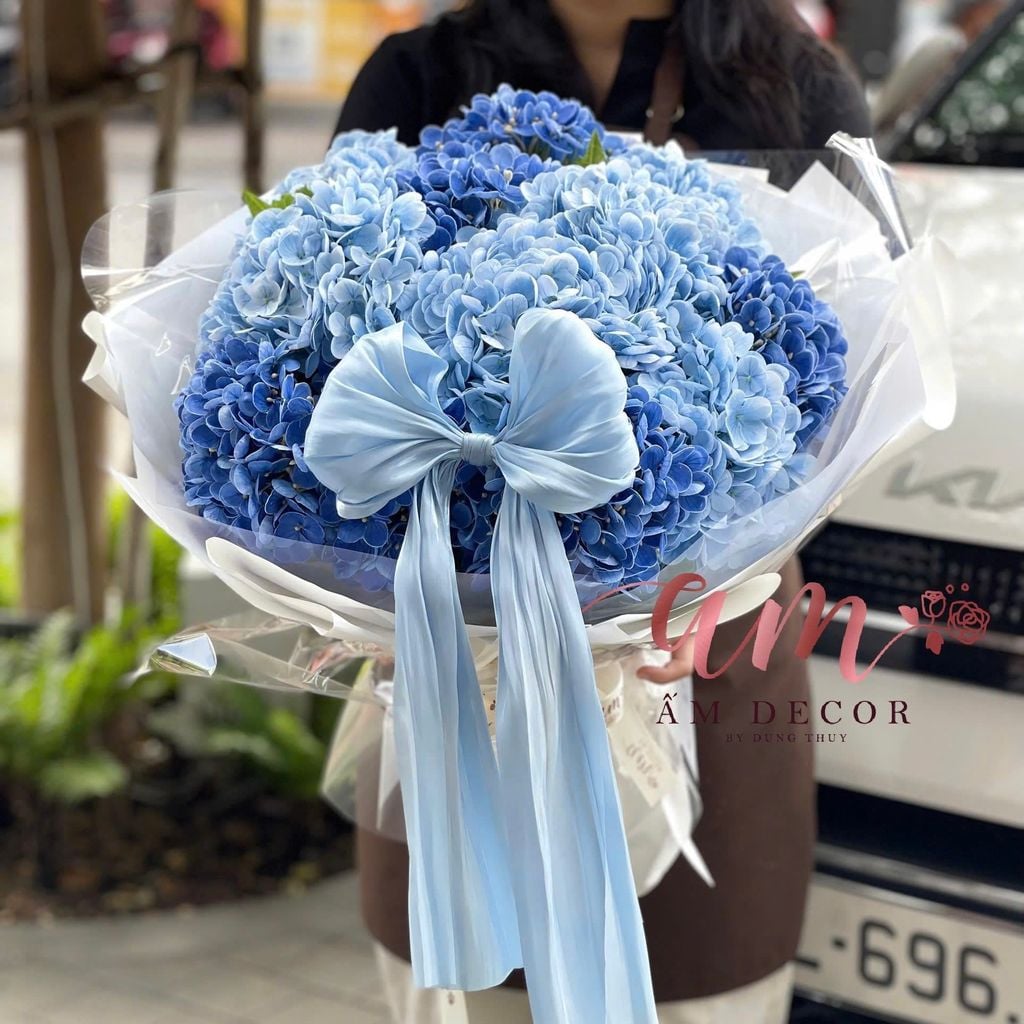 A OCEAN HYDRANGEA