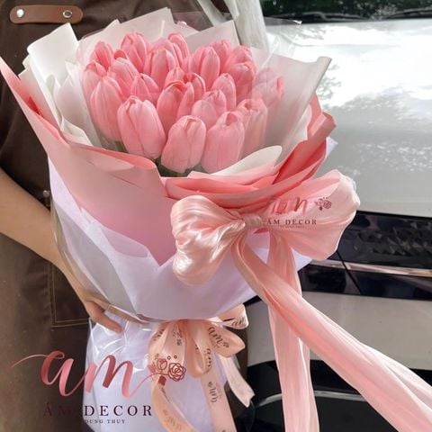  A CORAL TULIP 