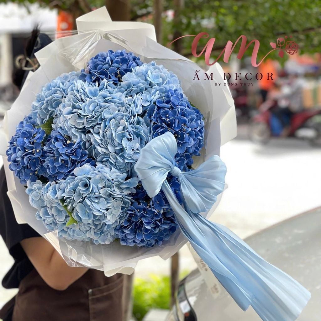 A OCEAN HYDRANGEA