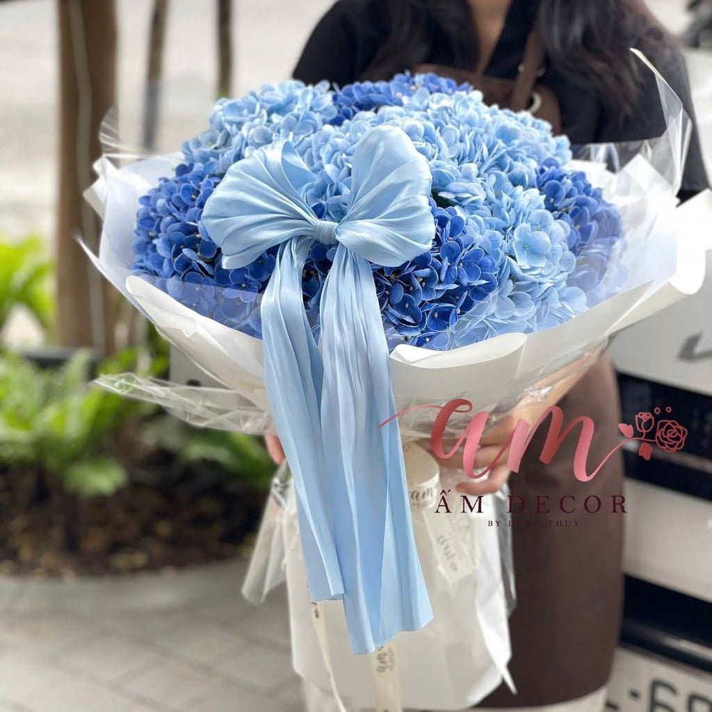 A OCEAN HYDRANGEA