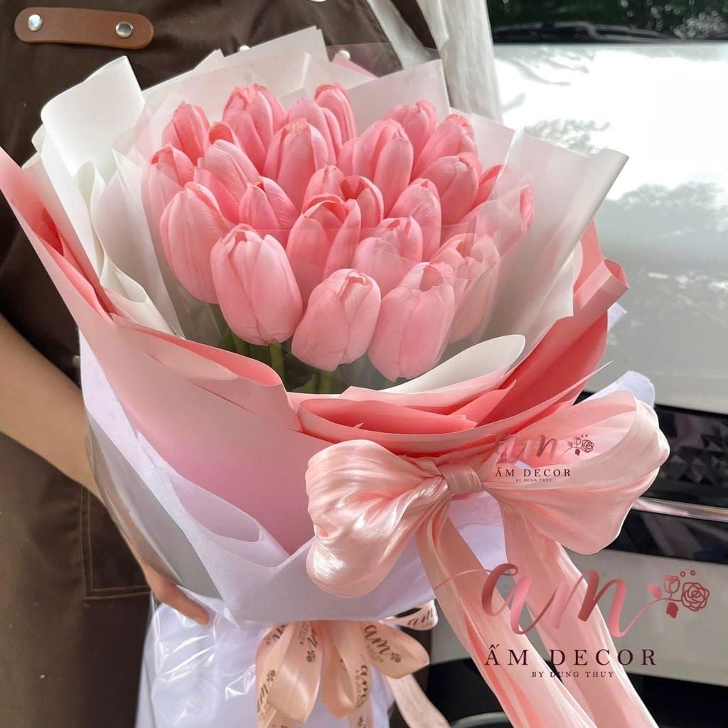 A CORAL TULIP