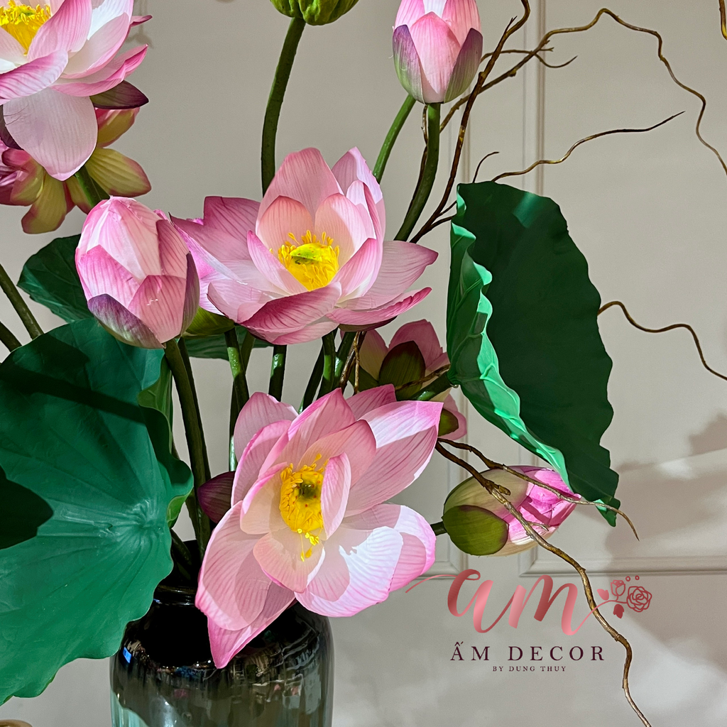 BÌNH HOA TRADITION LOTUS