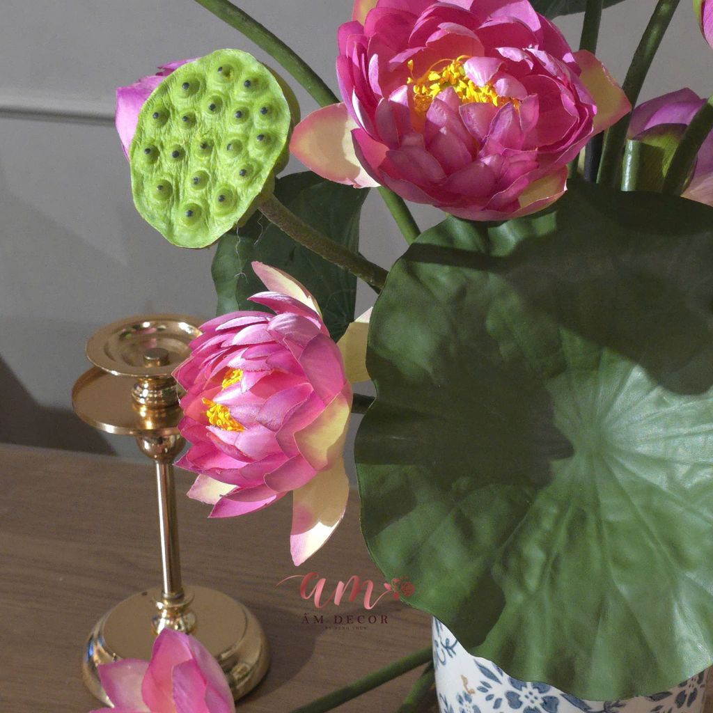 BÌNH HOA SERENE LOTUS