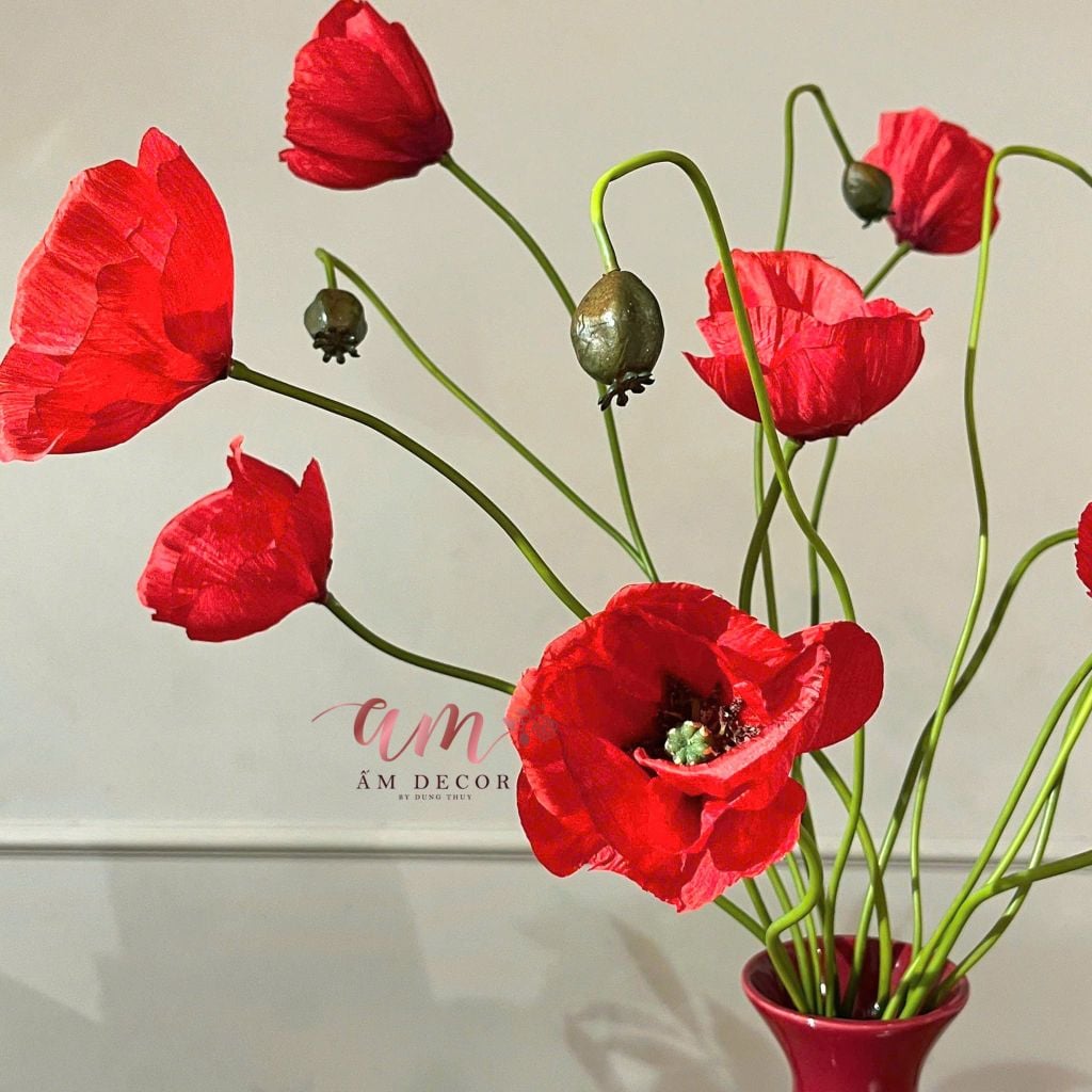ZBÌNH HOA DAWN POPPY