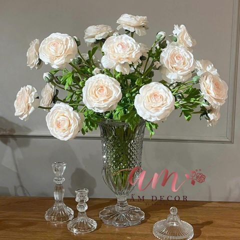  BÌNH HOA A MUSE RANUNCULUS. 
