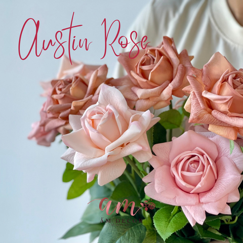  AUSTIN HOA HỒNG (Vàng) 