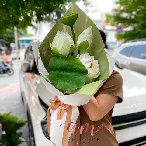  A LOTUS PEARL 
