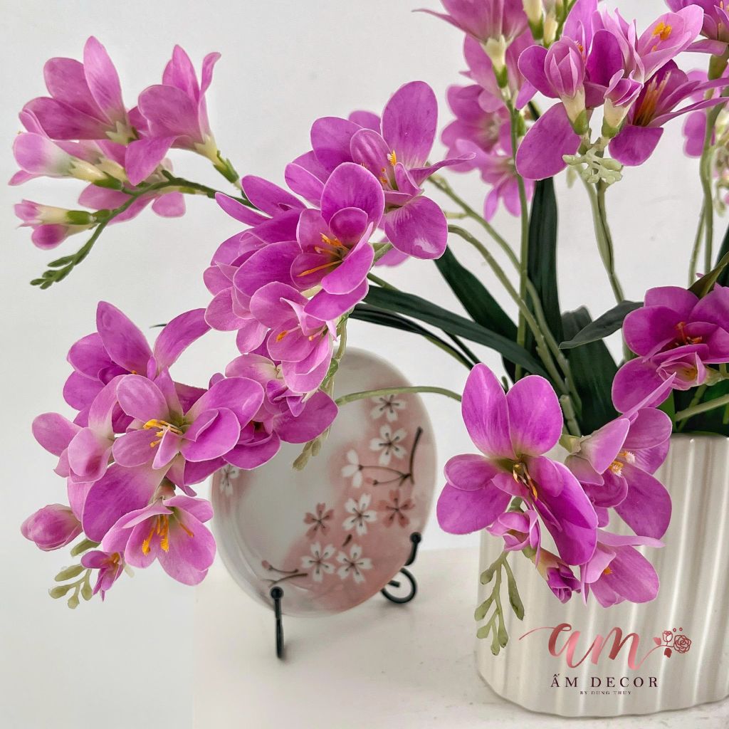 ZBÌNH HOA FREE-SIA ORCHID CUPRÉLIA
