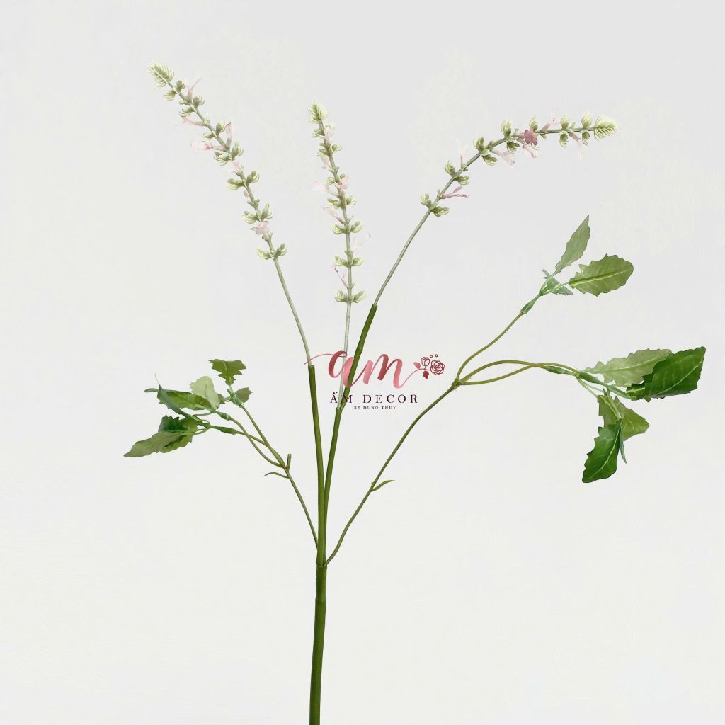 OẢI HƯƠNG CỎ XÔ THƠM (HỒNG)