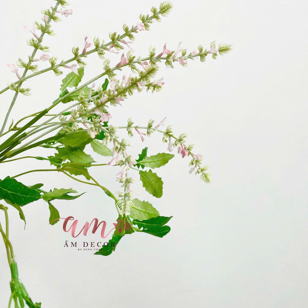 OẢI HƯƠNG CỎ XÔ THƠM (HỒNG)