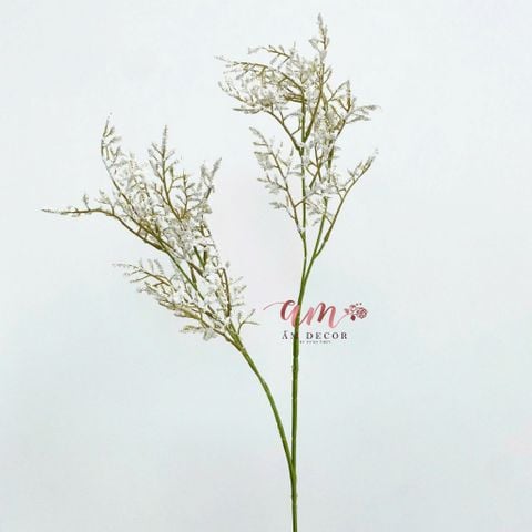  CỎ TÌNH YÊU (TRẮNG) 