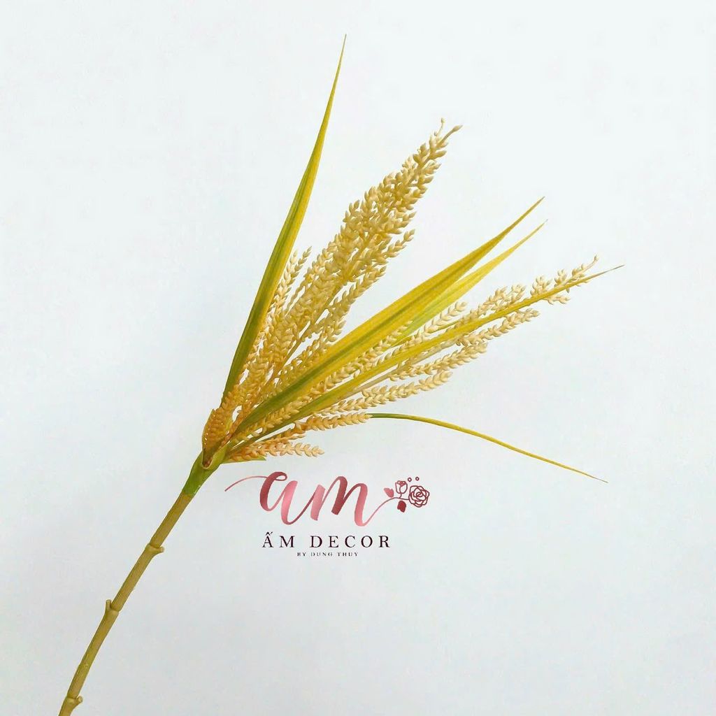 CÀNH LÚA