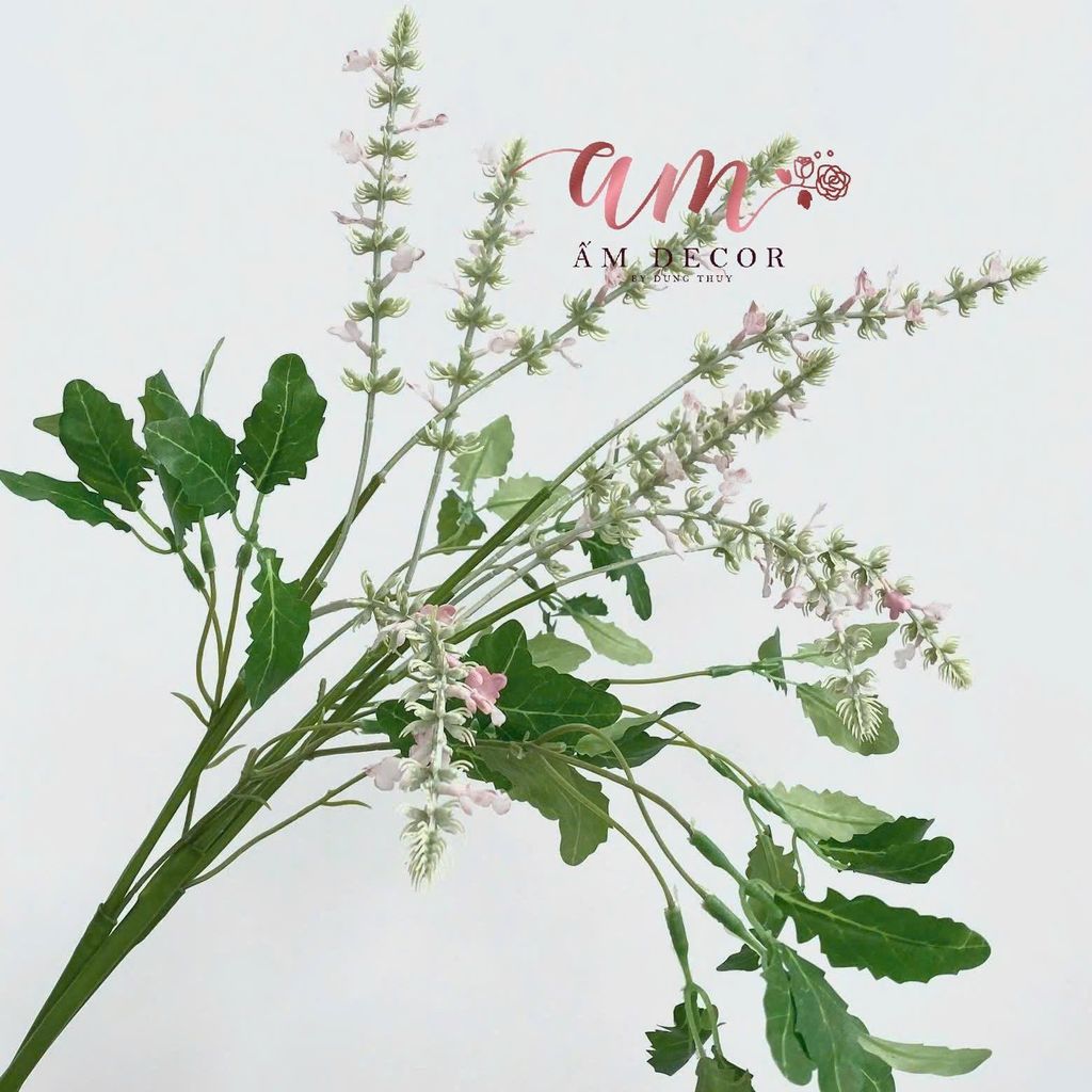 OẢI HƯƠNG CỎ XÔ THƠM (HỒNG)